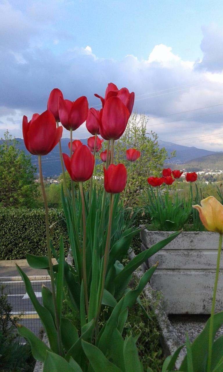 B&B Villa Mirella Casnate Con Bernate Exterior photo