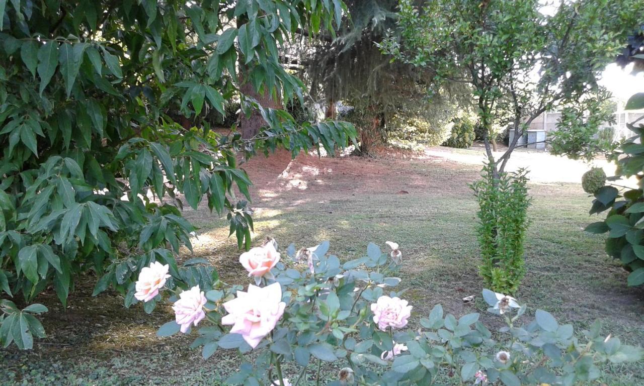 B&B Villa Mirella Casnate Con Bernate Exterior photo